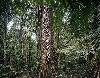 Peruvian Amazon Photograph by Eirik Johnson
