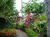 The walkway to my villa