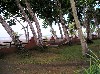 Hammocks by the beach