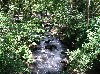 A bubbling thermal stream
