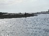 River meets the ocean