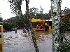 Flood scene