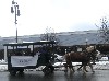 There were free rides down Main Street.