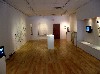 The installation at Gallery 51.