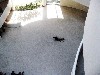 Lovers writhing on the bare floor below.