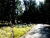 The road leading to the main house takes one through manicured nature.