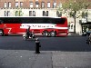 The red bus.