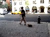 Get along little doggie.