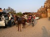 Horse cart transportation
