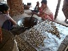 Making palm sugar