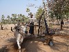 Peanut oil extraction