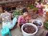 Food vendor