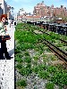 Astrid enjoys the High Line.