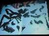 Jonas introduces black and white imagery into her projected story