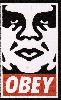 Obey by Shepherd Fairey