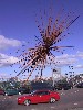 Now notorious B is for Bang by Thomas Heatherwick in Manchester, UK
