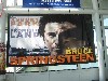 Celebrating Bruce Springsteen.