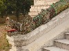 Phaya Naga guarding the Palace