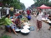 Morning Market
