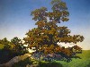 A meticulously rendered tree by Maxfield Parrish.