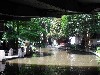 A cool place on a hot day.