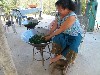 Tossing mulberry leaves