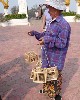 Bird vendor