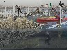 Oyster Reef
Credit: SCAPE