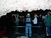 Group of young explorers starting a guided tour to a cavern below the Big Room.