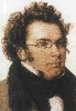 Schubert often didn&rsquo;t finish the job at hand, so interpreting the whys and wherefores of his Unfinished Symphony are difficult.  One thing&rsquo;s for sure--the two complete movements we have are wildly beuatiful.  It is sad to know that Schubert did not finish a full life either.  