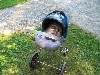 Stroller by Nina Levy.
