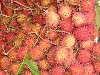 Rambutan