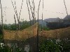 Fish traps