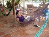 Cafe with hammocks