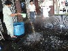 Feeding fish