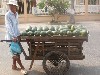 Watermelon vendor