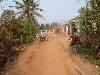 On the way to village by oxcart