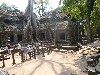 Banyan roots tower over Ta Prahm