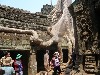 More spectacular roots at Ta Prahm
