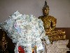 Donations to Buddha bring merit