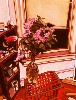 Spring Flowers.