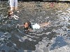 Taking a swim in shallow water.