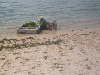 Collecting seaweed