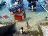 Children wading at the harbor