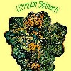 Ultimate Spinach played at The Tea Party.