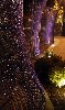 A similar section of the fence at night. Ph: B. Konieczny.