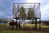 "Tree/House" and birches, 1994, at the Socrates Sculpture Park in New York City.
