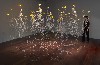 "Luminous Garden," 2009, at the Boston Sculptors Gallery. Ph:Clements/Howcroft.