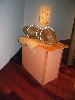 A sculpture by Driscoll.