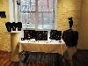 Jewelry by Michelle Silva.